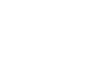 Logo Icon